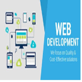 Web Development Consultation Call